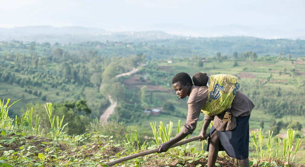 A Global Agriculture Fund That Delivers For Poor Farmers Actionaid Usa