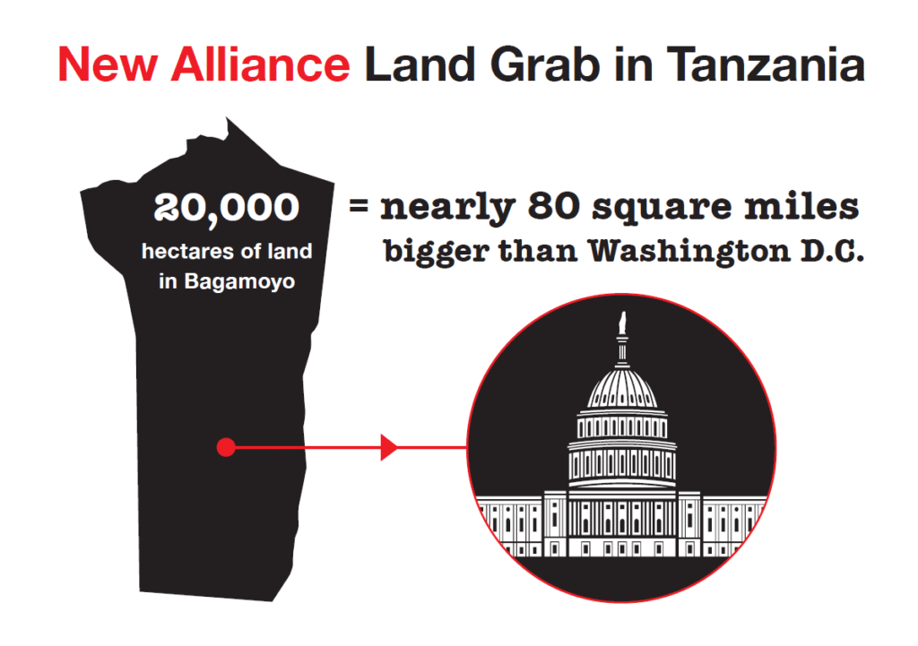 bagamoyo-infographic