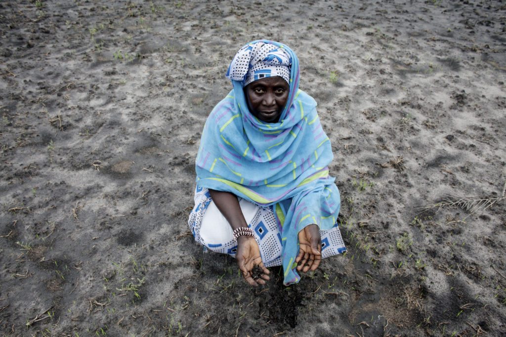 Rice farmer Hawa Jammeh inspects soil that is overrun by salt in Nemakunku, Gambia. Photo: Jane Hahn/ActionAid