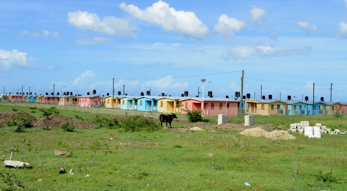 Land Grabbing in Haiti: The Caracol Industrial Park - ActionAid USA, image size:1200x660
