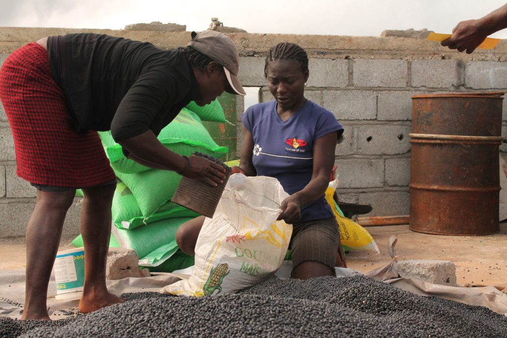 Two Haitian women measure out seeds to distribute to survivors of Hurricane Matthew.