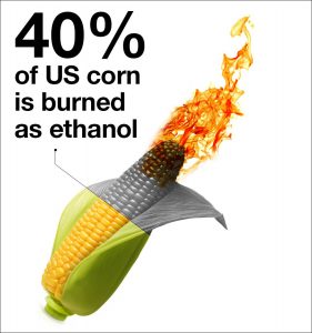 ethanolburn-hi-res-border