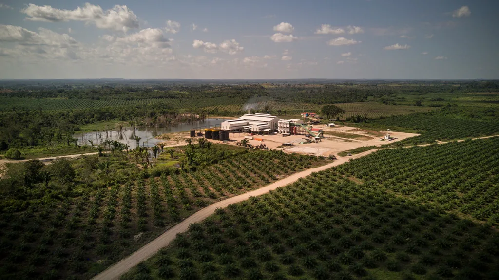 Aerial view of palm plantation in northern Guatemala, where human rights defenders are risking their lives to defend indigenous land.