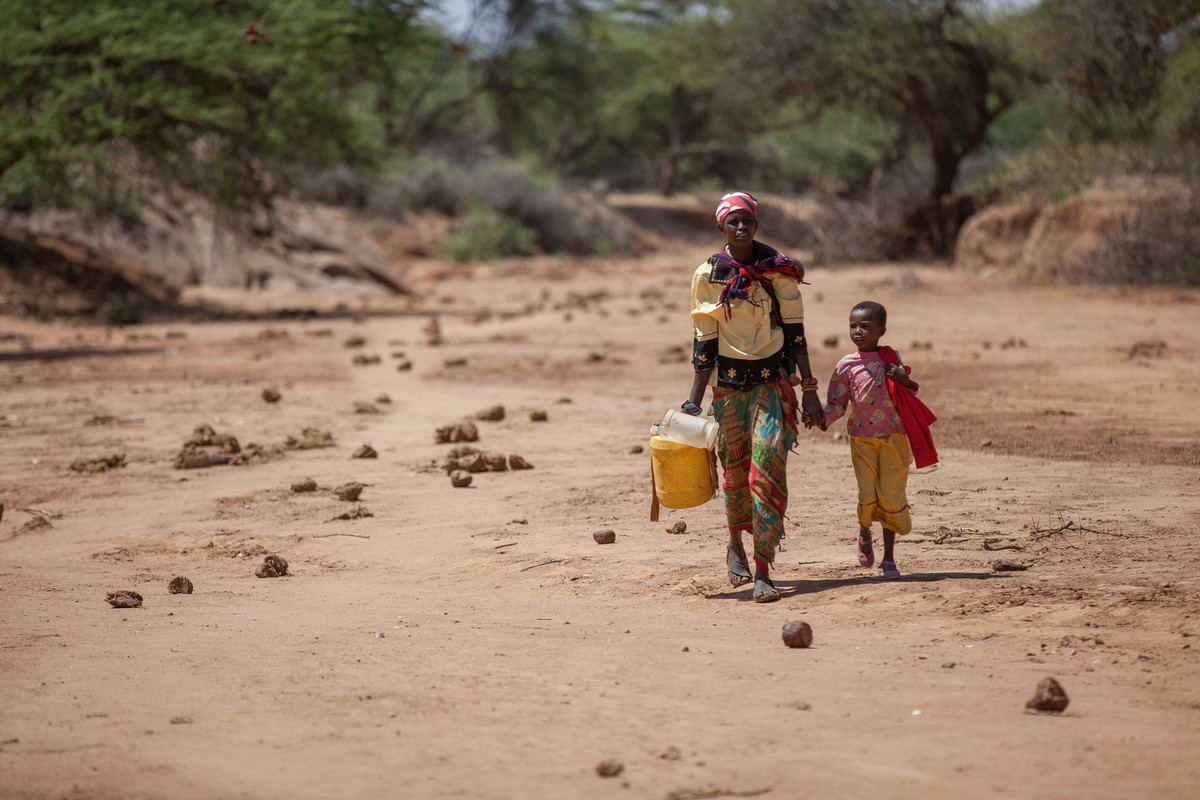 Food Crisis in East Africa - Developing Sustainable Food Solutions