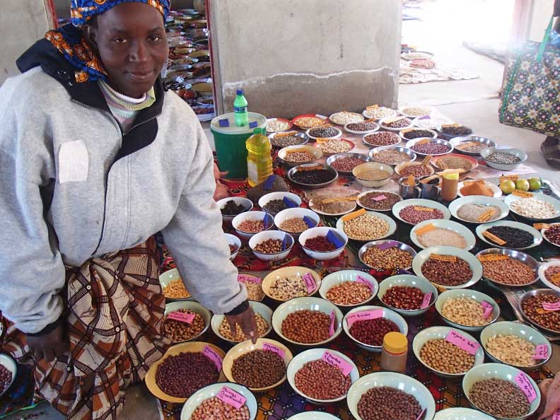 A female farmer in Zimbabwe sits next to bowls of seeds. The Zimbabwe Smallholder Organic Farmers Forum won the 2017 Food Sovereignty Prize, awarded the day after World Food Day.