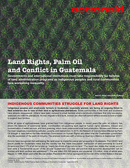 Land Rights, Palm Oil and Conflict in Guatemala