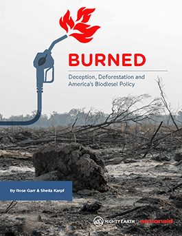 The background photo features felled trees among ashes. A design of a nozzle with flames point to the word "BURNED". Beneath it are the words Deception, Deforestation and America's Biodiesel Policy