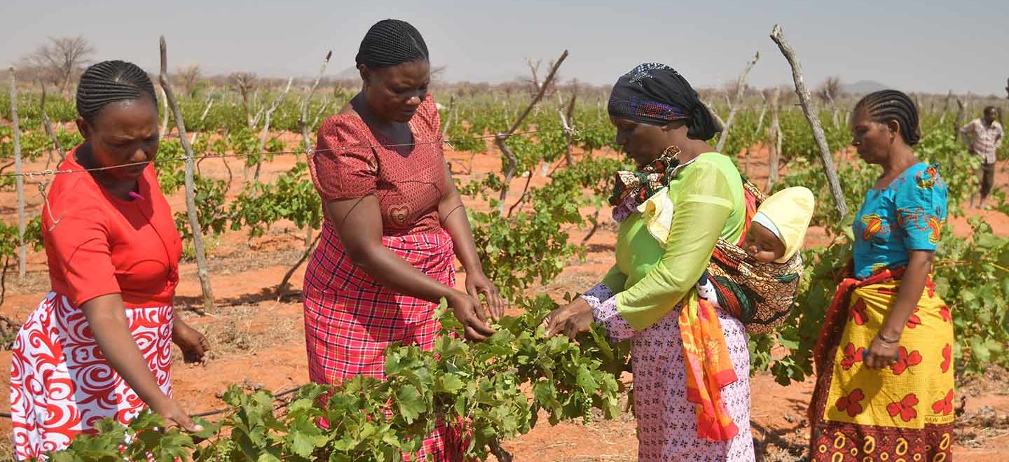African Farmers Track How Government Money Is Spent Actionaid Usa