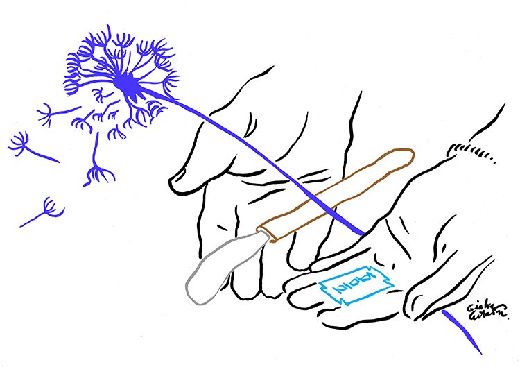 A sketch of two hands, one holding a blade used in female genital mutilation and a purple dandelion. On February 6 the religious authority in Somaliland issued a fatwa against FGM.