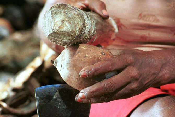 A woman breaks a Babassu coconut, harvested in Brazil's quilombo communities.
