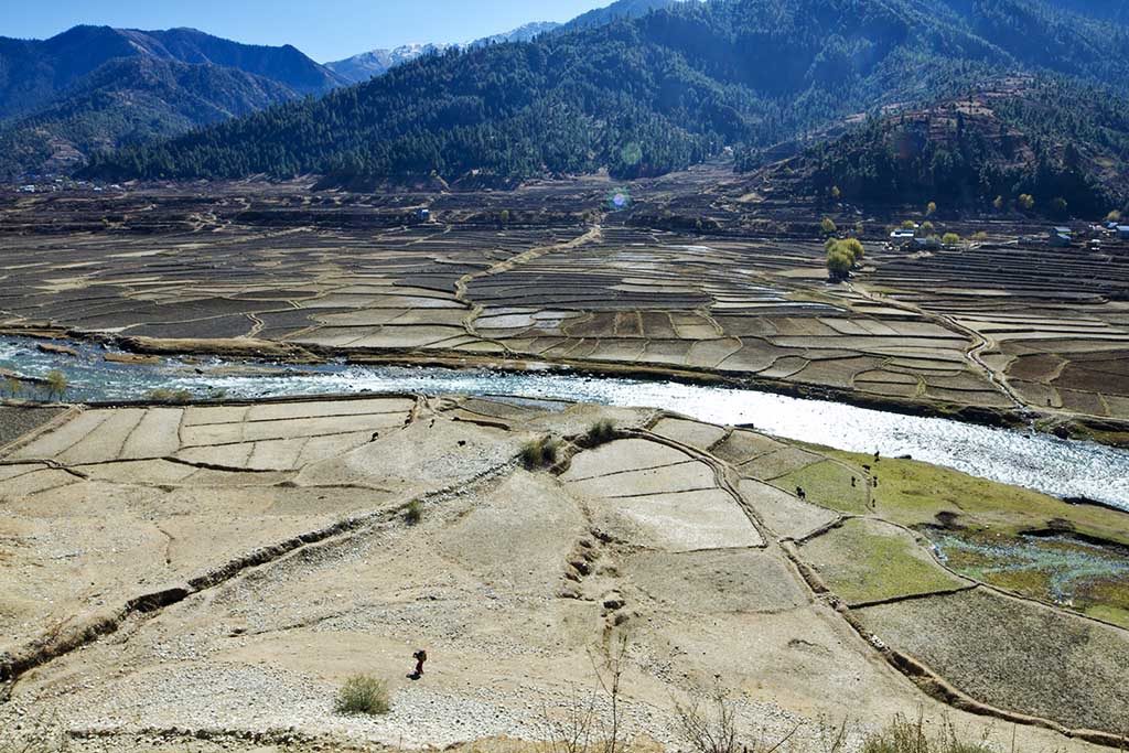 Fields in a valley in Nepal, with a glistening river running through them.