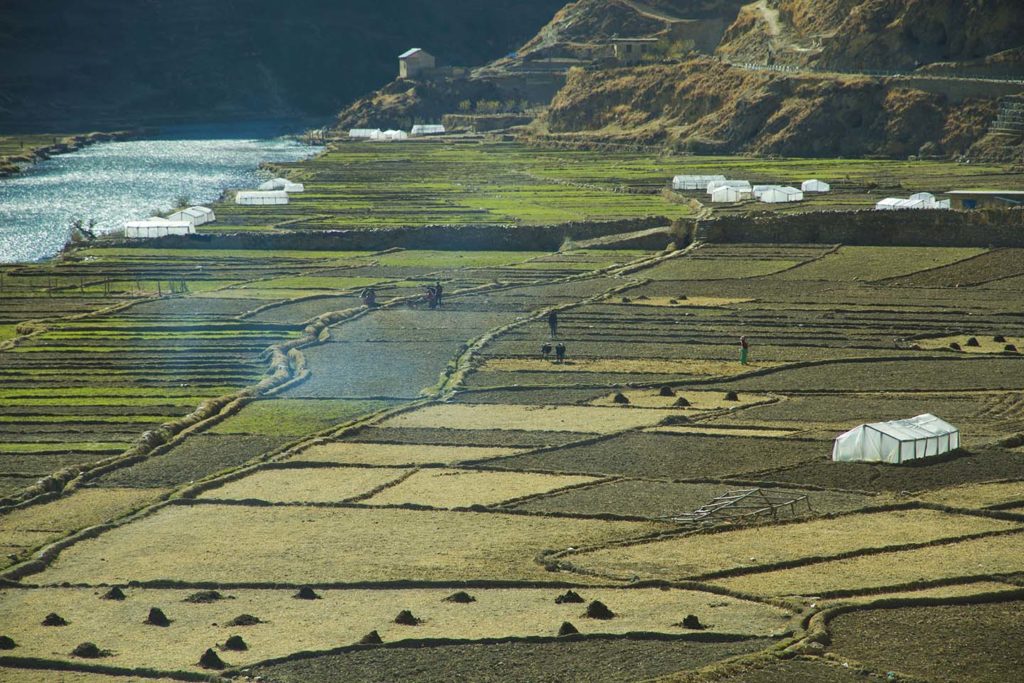 Polytunnels in Tatopani, Nepal, mean that farmers can now grow a wide range of nutritious green vegetables.