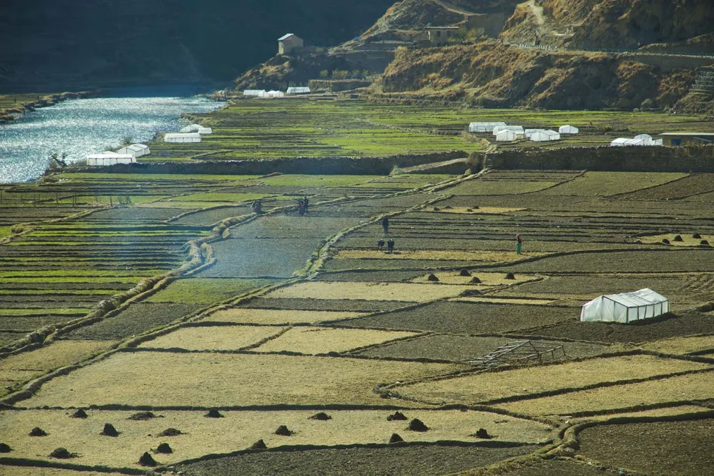 Polytunnels in Tatopani, Nepal, mean that farmers can now grow a wide range of nutritious green vegetables.