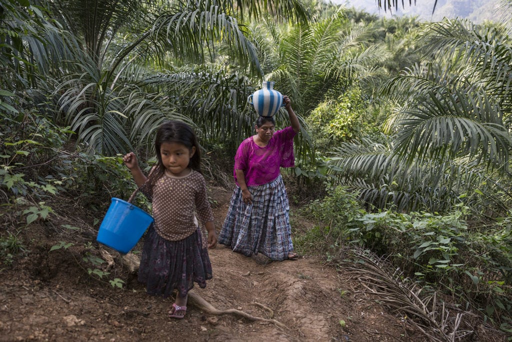 A young girl and her mother carry a bucket and a jar, respectively, of water up a slope. Palm plantations are displacing indigenous people like them in Central America.