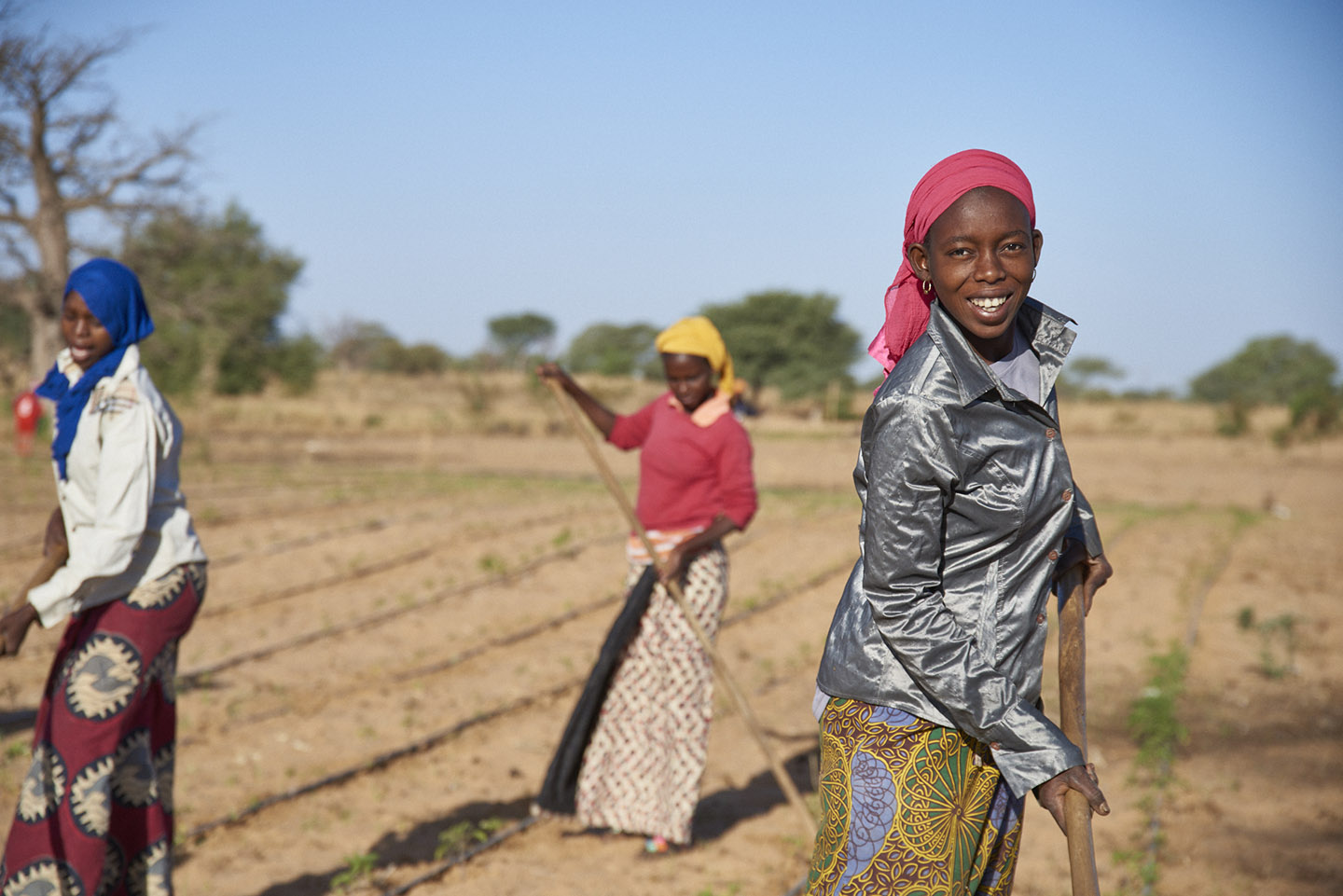 Improving Food Security for Farmers in Senegal