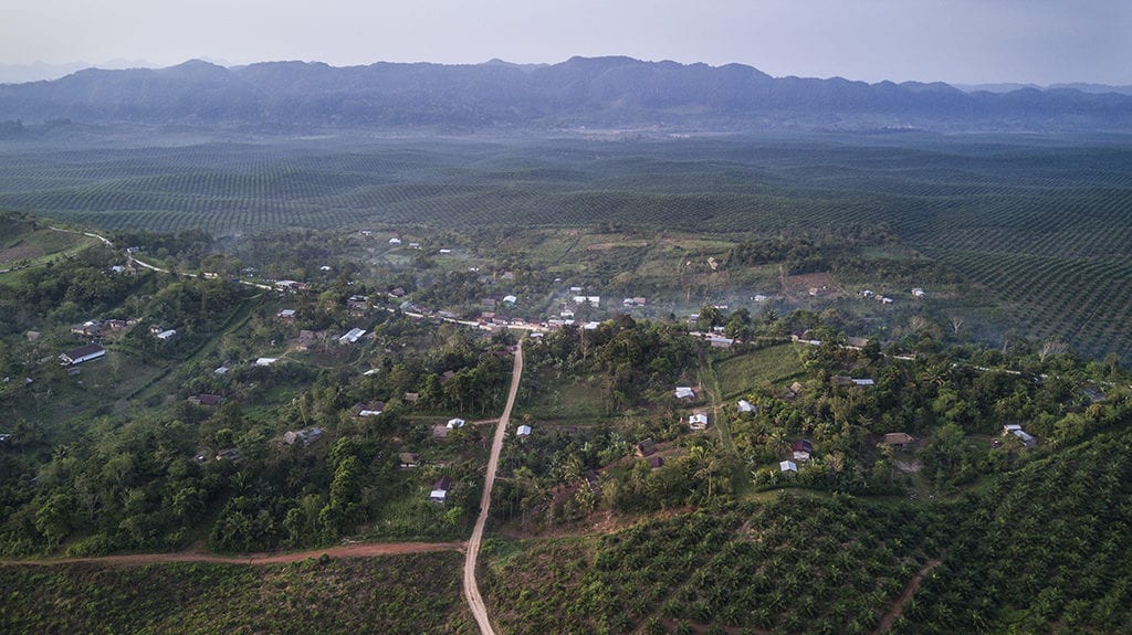 An aerial view of a village in a valley surrounded on three sides by rows of oil palms