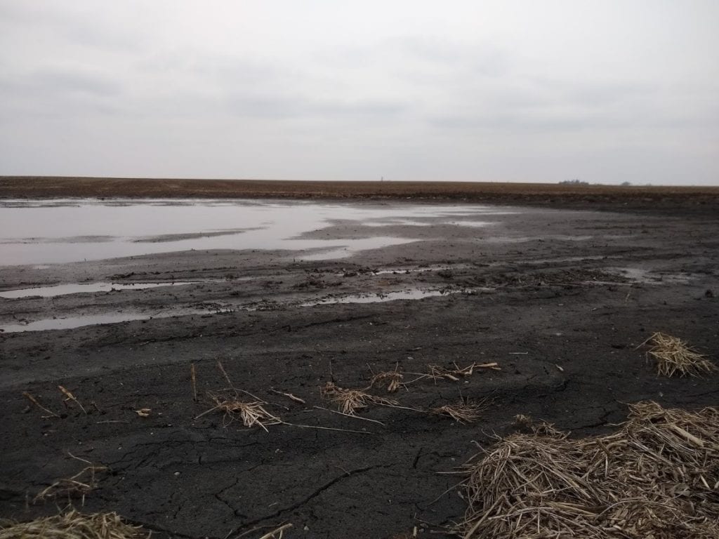 Unprotected TIAA field in Champaign County