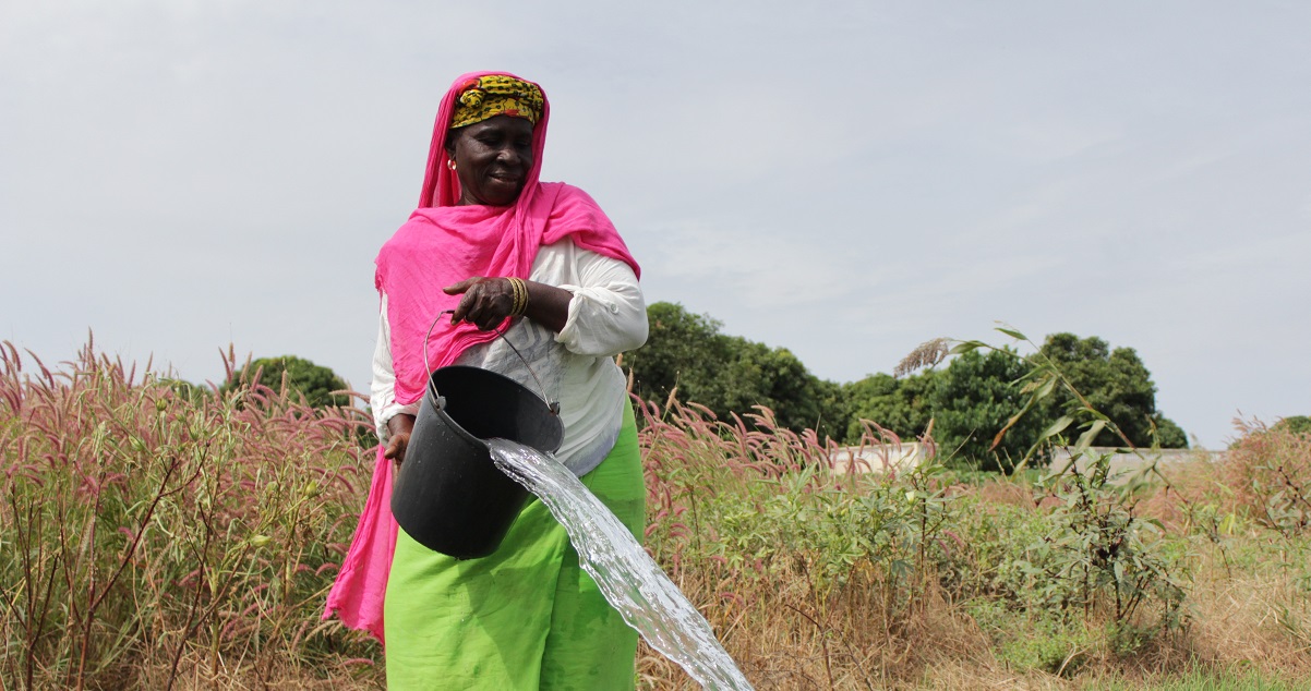 The Food And Agriculture Sector Development Project In The Gambia Actionaid Usa