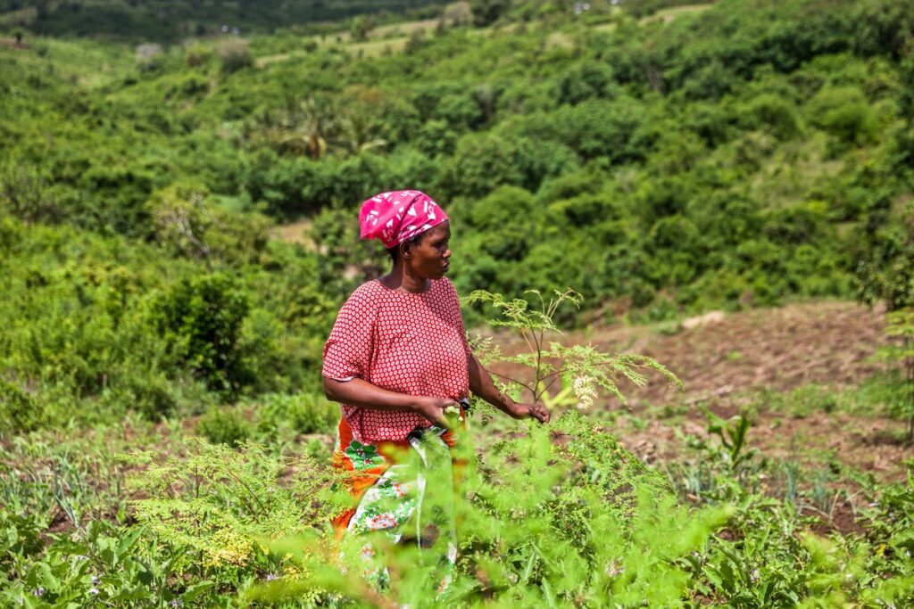 A woman in Kenya stands in her farm, a plot of land that she owns.