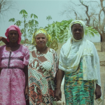 Women farmers launch new business ideas to cope with Covid-19 food crisis