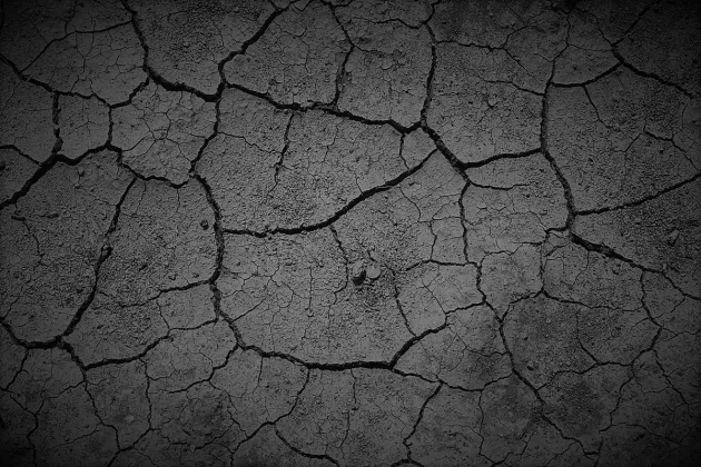 East Africa Food Crisis