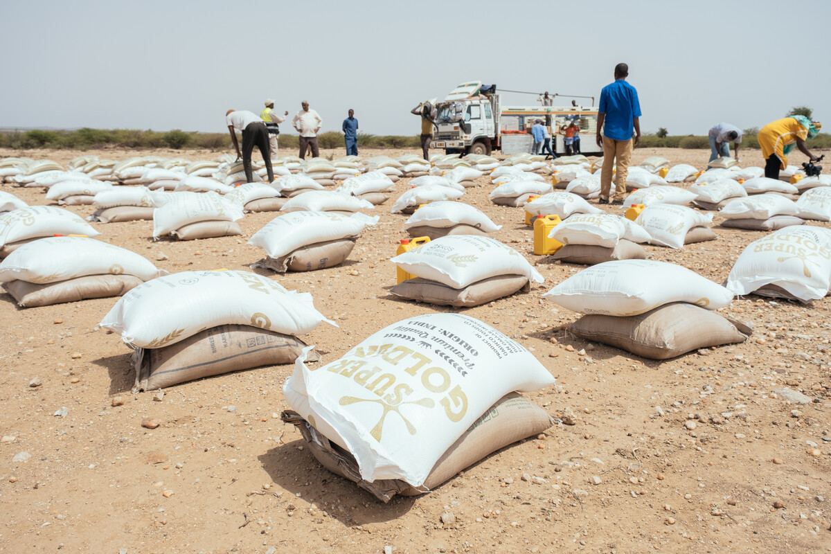 The inevitability of a famine if the food crisis goes unaddressed