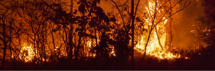 Disaster response should put people first — not politics
