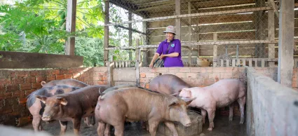Build better agrifood systems – Invest in producer organizations: Lessons from GAFSP projects