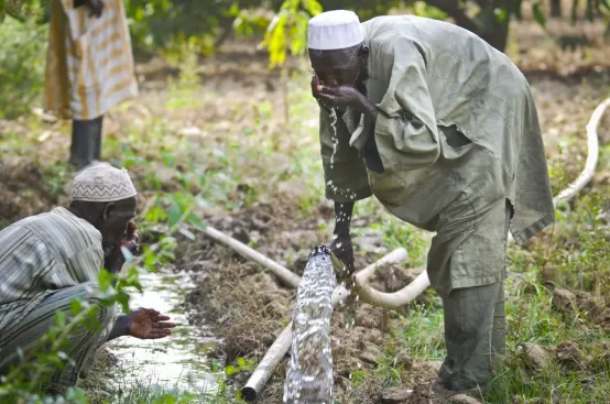 Local farmers use the new irrigation equipment to water their land in Niger. Photo: ActionAid