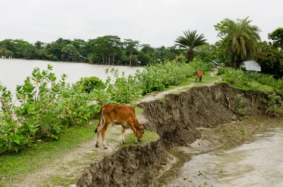 Photo: Mahmud/MAP/ActionAid