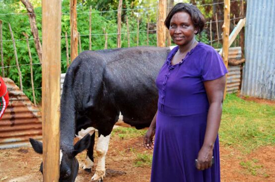Through the PFA project in Kenya, farmer Jennifer learned to protect her cows from drought. Photo: Allan Gichigi/ActionAid
