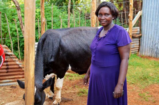 Through the PFA project in Kenya, farmer Jennifer learned to protect her cows from drought. Photo: Allan Gichigi/ActionAid