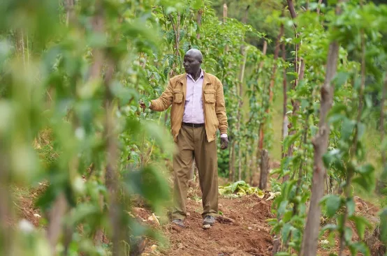 The PFA project has increased passionfruit farmer John's access to markets in Kenya and abroad. Photo: Allan Gichigi