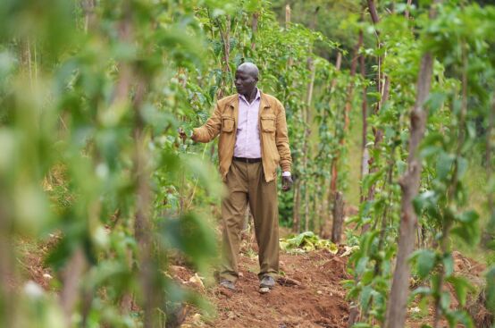 The PFA project has increased passionfruit farmer John's access to markets in Kenya and abroad. Photo: Allan Gichigi