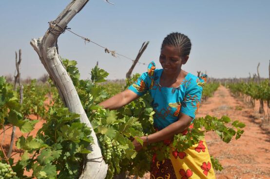 Tanzanian grape farmer Nuru received training through the PFA project to conduct social audits. Photo: Allan Gichigi/ActionAid