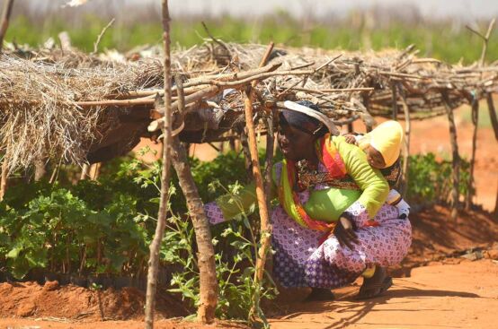 Through the PFA project in Tanzania, grape farmer Sophia is exercising her rights as a taxpayer to track government spending. Photo: Allan Gichigi/ActionAid